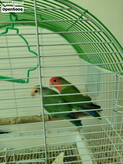 undefined 2