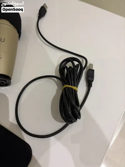 Behringer microphone professional mic 2