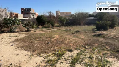 قطعة ارض سكنية/ الكريمية 3