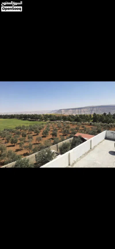 مزرعه للبيع 3