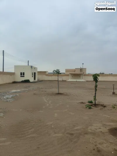 أرض زراعية كبيرة ومسورة بها غرفة ومطبخ ودورة مياه تصلح لعمل استراحة بموقع جميل قريب البحر 4