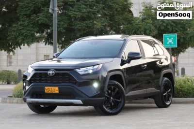 Toyota RAV 4 XLE 3