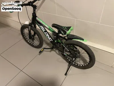 Cycle 20 inch new condition 2