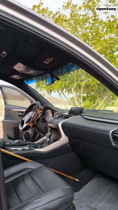 Lexus NX NX 250 2