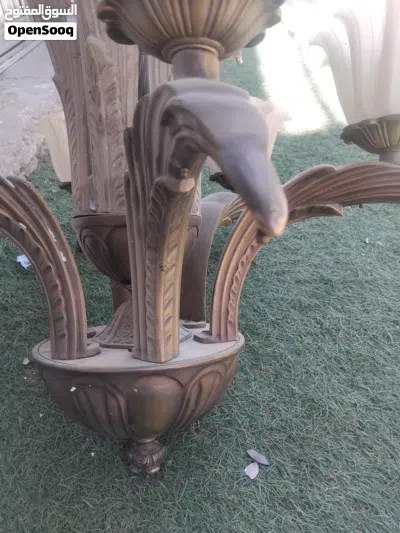 ثرية ايطاليه بحاله ممتازه وزن بحدود ال 20ك 4
