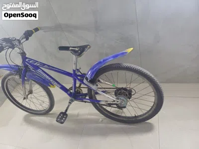 Suzuki Other 4