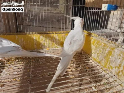 undefined 3