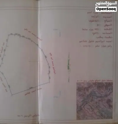 قطع اراضي في فلسطين للبيع 2