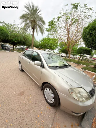 Toyota Corolla XLI 2