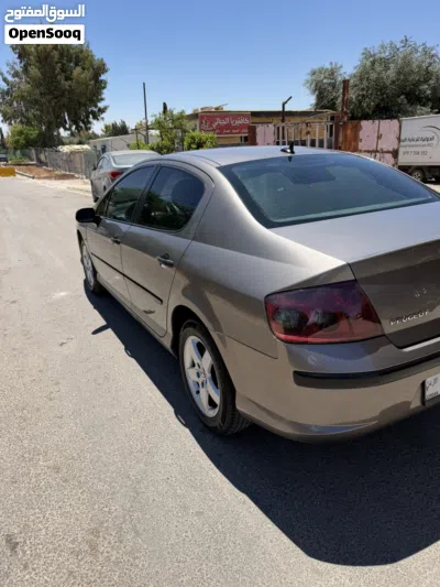 Peugeot 4007 2