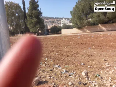عين الباشا بجانب مستشفى الأمير حسين 3