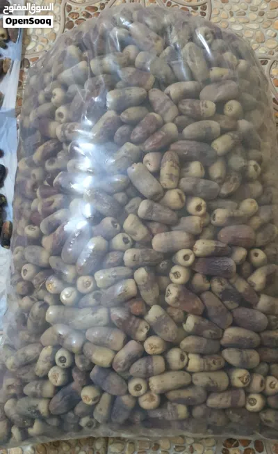 تمر نغال جريجرو 2