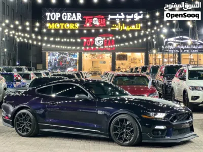 Ford Mustang Mach 1 2