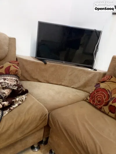 تخم مستعمل شي قليل 3 قنفات ومن ضمنهم زاويه حلوا 2