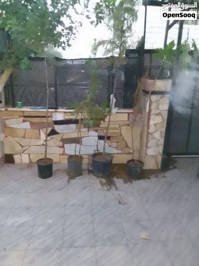 undefined 3