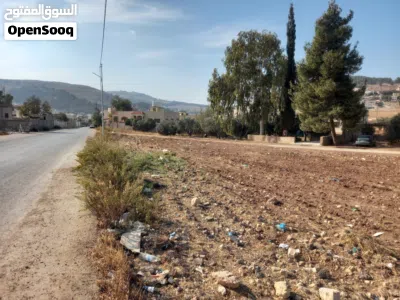 عين الباشا بجانب مستشفى الأمير حسين 4