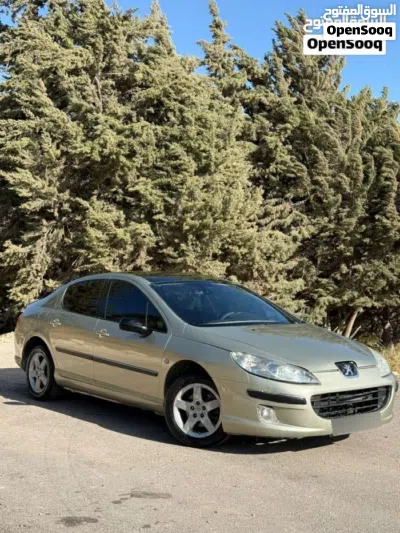 Peugeot 307 Standard 3