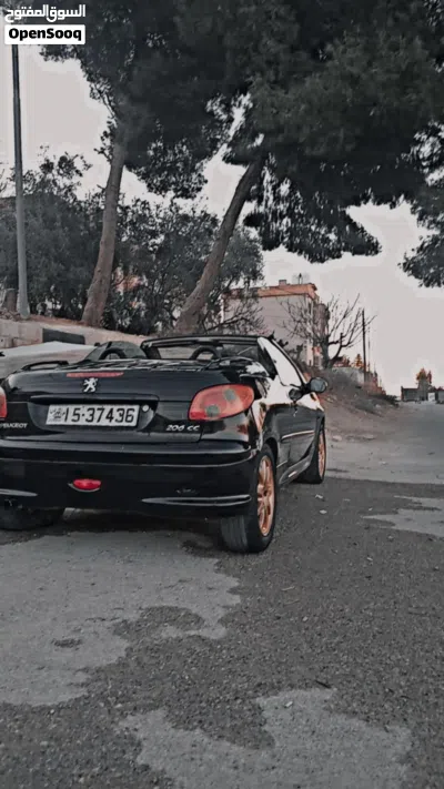 Peugeot 307 Standard 4