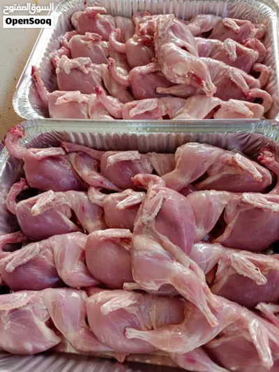 بيع طيور السمان 2