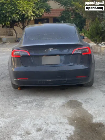 Tesla Model 3 Standard Plus 3