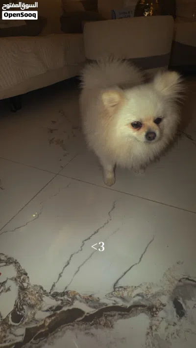 undefined 2