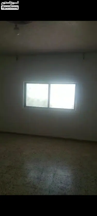 شقه حي الأمير محمد مسجد ابن ماجه 2