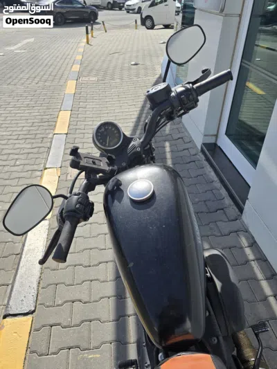 Harley Davidson Iron 883 2