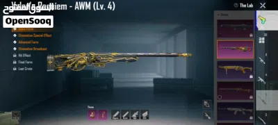 Pubg Acount with Max guns 3