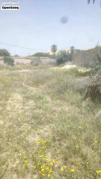 فرصة ممتازة للبيع – قطعة أرض مميزة 2