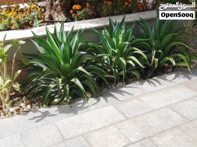 undefined 3
