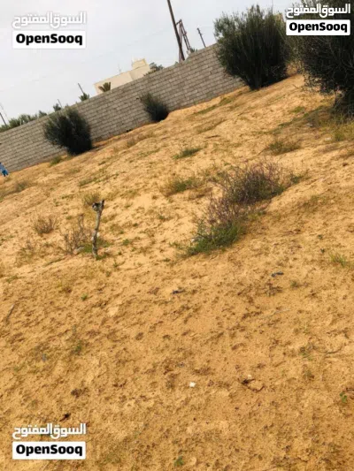 ارض موسي كوسا للبيع من المالك طول 2
