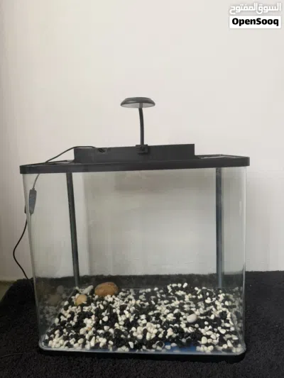 Fish aquarium 2