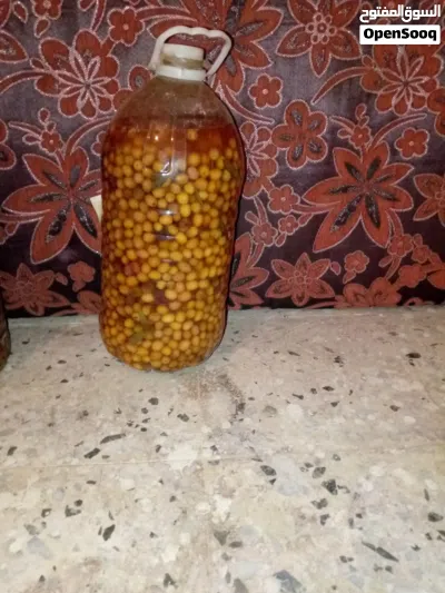 سلام عليكم للبيع زيتون أحمر 2