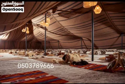 undefined 3