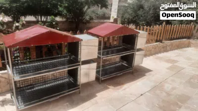 اقفاص وقنون تفصيل حسب طلبك كمربي ومصلحتك تفصيل حسب المقاس المطلوب فتحات الشبك .. نوع التيوبات 3