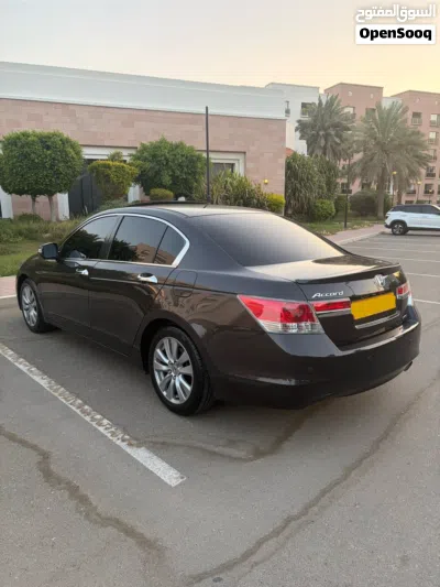 Honda Accord Limited 3