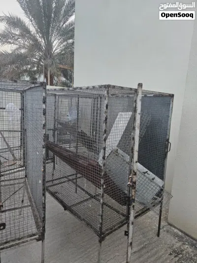 اقفاص طيور متر في متر طول ارتفاع عرض نظيفات 3