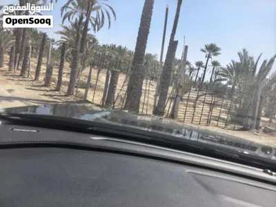 مزرعه في ولايه المصنعه للبيغ 2