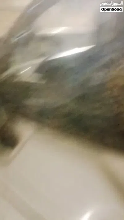 نقل بنكو حمل ويوجد عمال فتح وشد غرف وسبالت وغيرهاا 2