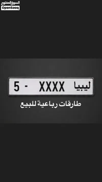 بي ام دبليو الفئة 3 330 2