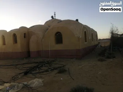 قطعة أرض بمساحة 25 فدان مستصلحين ببئر مياه محفور للاستثمار الزراعي والنشاطات المرتبطةبالنشاط الزراعي 4