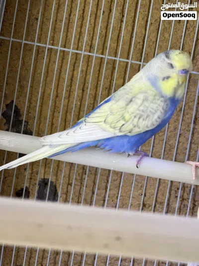 undefined 2