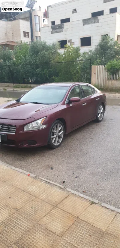 Nissan Maxima SR1 2