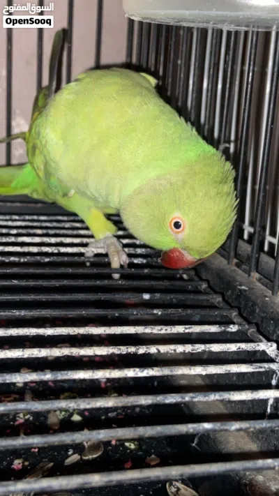 undefined 2