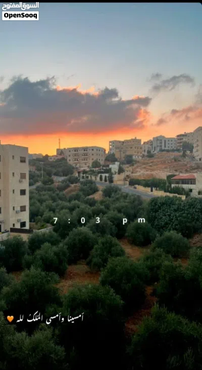شقه للبيع البقعان 4