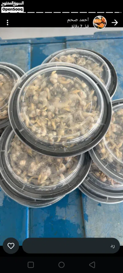اللبيع دوك طازج جاهز 2