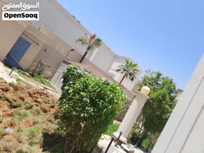 artificial grass and plants maintenance اشجار و ثیل صناعی شغل حدیقہ 3