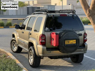 Jeep Liberty Renegade 2