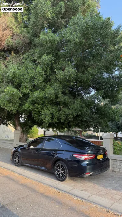 Toyota Camry LE 3