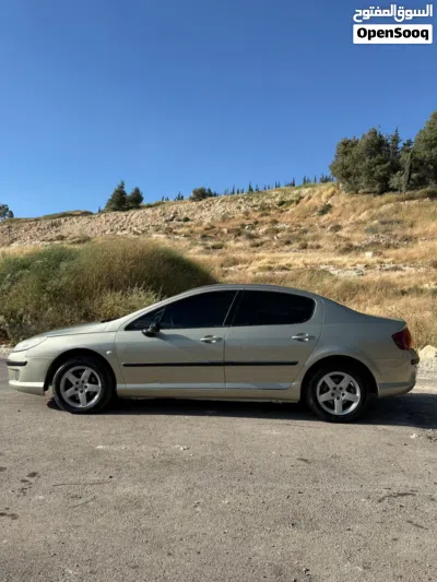 بيجو 407 Standard 4